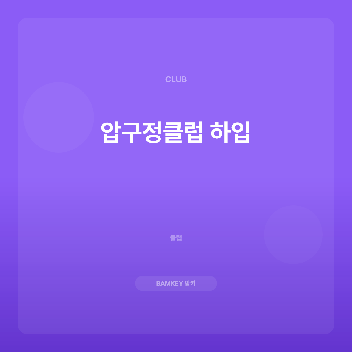 압구정클럽 하입