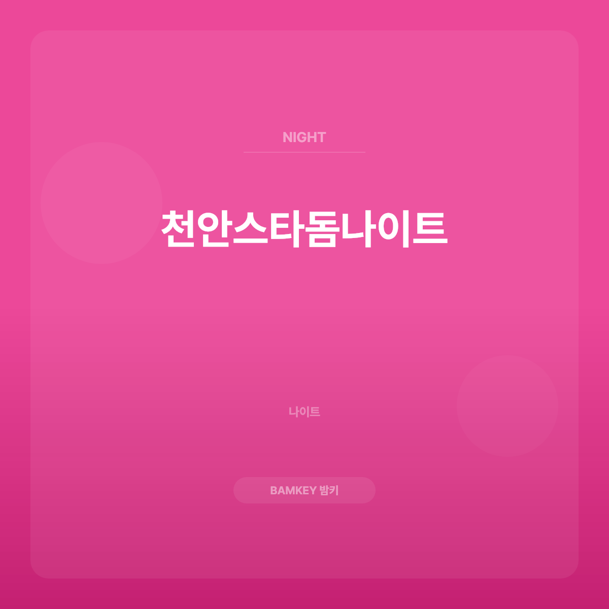 천안스타돔나이트